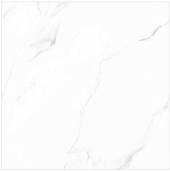 GẠCH ẤN ĐỘ 800X800 PLANTA STATURIO AZ-M88001